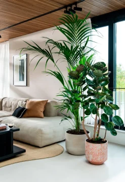 Bela Arte Blumentopf Belem braun D 24 H 23 cm Blumentöpfe & Pflanzgefäße|Blumentöpfe