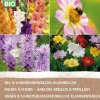 New Bio-Blumenzwiebeln für Bienen und Schmetterlinge 25 St. Sommer-Blüher|Blumenzwiebeln