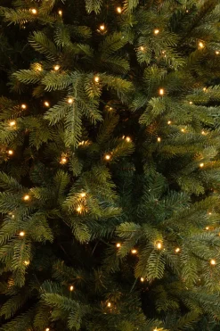 Best Black Box Künstlicher Weihnachtsbaum Grand Fir mit 550 LEDs warmweiß D 152 H 215 cm Künstliche Weihnachtsbäume