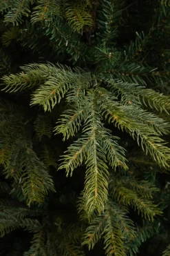 Hot Black Box Künstlicher Weihnachtsbaum Grand Fir D 152 H 215 cm Künstliche Weihnachtsbäume