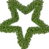 Black Box Weihnachtsstern D 91 cm grün Weihnachtssterne