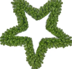 Black Box Weihnachtsstern D 91 cm grün Weihnachtssterne