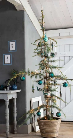 Hot Blaue Zeder (Cedrus libani 'Glauca') D 30 H 175 cm Winterharte Pflanzen|Koniferen