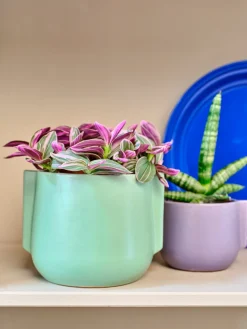 Best Blumentopf Modern lila D 10,3 H 13 cm Blumentöpfe & Pflanzgefäße|Blumentöpfe