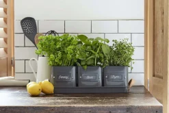 Best Burgon & Ball Kräutertöpfe auf Tablett schwarz 41 x 12 x 13,5 cm Blumentöpfe & Pflanzgefäße|Blumentöpfe