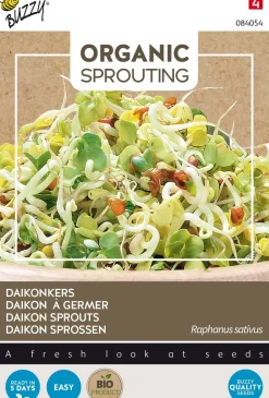 Buzzy® Daikon Sprossen (Raphanus sativus) (BIO) Samen Gemüsesamen|Saatgut