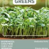 Best Buzzy® Microgreens Grünkohl Sprossen (Brassica oleracea var. acephala sabellica) Sprossen (BIO) Samen Gemüsesamen|Saatgut