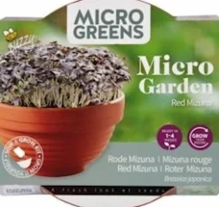 Best Buzzy® Microgreens Roter Mizuna (Brassica rapa) Kresse-Anzuchtset Gemüsesamen|Saatgut