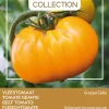 Best Buzzy® Pomodori Fleischtomate gelb (Solanum lycopersicum 'Grappa Gialla') Samen Gemüsesamen|Saatgut
