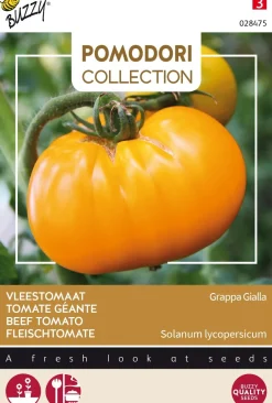 Best Buzzy® Pomodori Fleischtomate gelb (Solanum lycopersicum 'Grappa Gialla') Samen Gemüsesamen|Saatgut