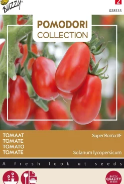 Outlet Buzzy® Pomodori Roma-Tomate (Solanum lycopersicum 'Super Roma VF') Samen Gemüsesamen|Saatgut
