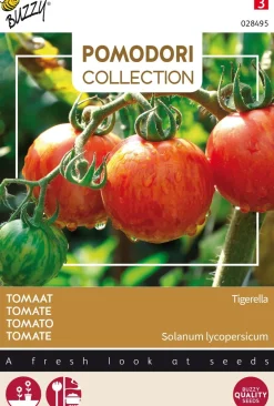 Hot Buzzy® Pomodori Tomate (Solanum lycopersicum 'Tigerella') Samen Gemüsesamen|Saatgut