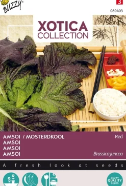 Online Buzzy® Xotica Amsoi rot (Brassica juncea 'Red') Samen Gemüsesamen|Saatgut