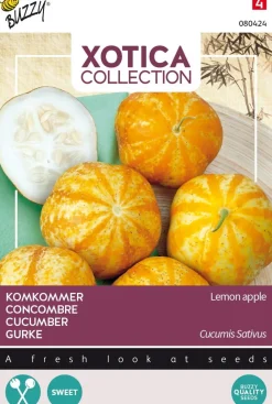 Best Buzzy® Xotica Gurke (Cucumis sativus 'Lemon Apple') Samen Gemüsesamen|Saatgut
