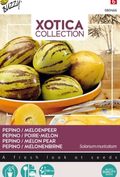 Discount Buzzy® Xotica Pepino / Melonenbirne (Solanum muricatum) Samen Obstsamen|Saatgut