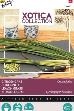 New Buzzy® Xotica Zitronengras (Cymbopogon flexuosus) Samen Kräutersamen|Saatgut
