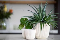 New Capi Europe Blumentopf Groove beige D 16,5 H 15 cm Blumentöpfe & Pflanzgefäße|Blumentöpfe