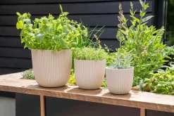 New Capi Europe Blumentopf Groove beige D 16,5 H 15 cm Blumentöpfe & Pflanzgefäße|Blumentöpfe