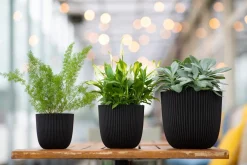 Discount Capi Europe Blumentopf Groove schwarz D 21,5 H 20 cm Blumentöpfe & Pflanzgefäße|Blumentöpfe