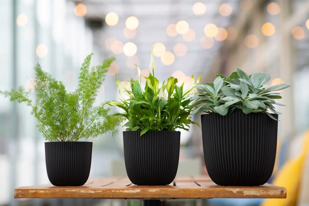 Discount Capi Europe Blumentopf Groove schwarz D 21,5 H 20 cm Blumentöpfe & Pflanzgefäße|Blumentöpfe