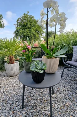 Discount Capi Europe Blumentopf Groove schwarz D 21,5 H 20 cm Blumentöpfe & Pflanzgefäße|Blumentöpfe