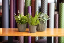 Outlet Capi Europe Blumentopf Groove grün D 21,5 H 20 cm Blumentöpfe & Pflanzgefäße|Blumentöpfe