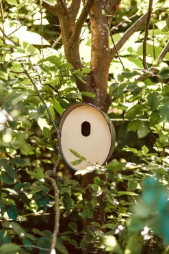 Clearance Capi Europe Nistkasten für Star anthrazit 24 x 19 x 23 cm Gartenvögel|Vogelhäuser & Nistkästen