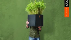 Online Capi Lux Terrazzo Pflanzkübel quadratisch 40 x 40 x 40 cm schwarz Blumentöpfe|Blumentöpfe & Pflanzgefäße