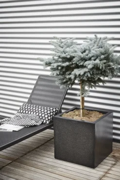 Outlet Capi Lux Terrazzo Pflanzkübel quadratisch 20 x 20 x 20 cm schwarz Blumentöpfe|Blumentöpfe & Pflanzgefäße