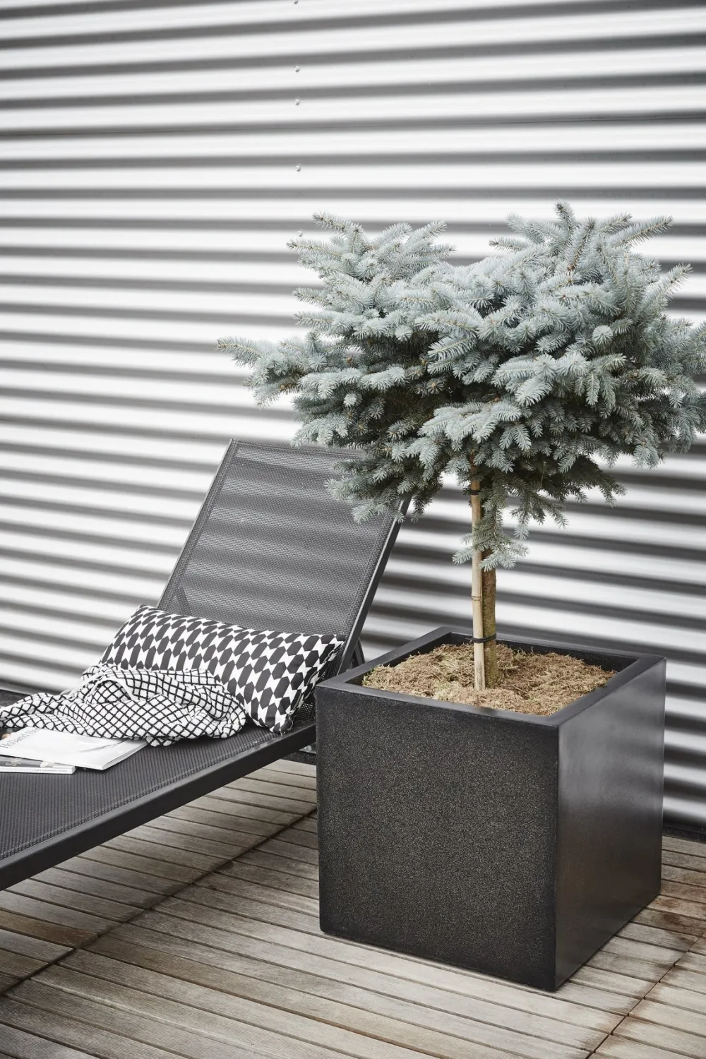 Outlet Capi Lux Terrazzo Pflanzkübel quadratisch 20 x 20 x 20 cm schwarz Blumentöpfe|Blumentöpfe & Pflanzgefäße