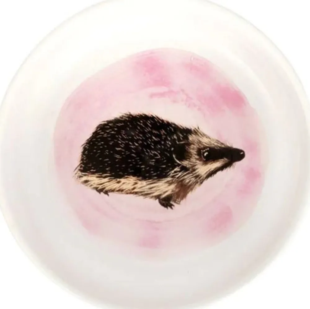 CJ Wildlife Igelfutterschale Myrte weiß D 13 H 4 cm Eichhörnchen- & Igelfutter