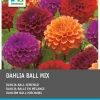 Sale Dahlie (Dahlia) Blumenzwiebeln 3 St. Sommer-Blüher|Blumenzwiebeln