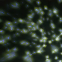 Best Discolicht Mini LED Projektor batteriebetrieben weiß Projektoren