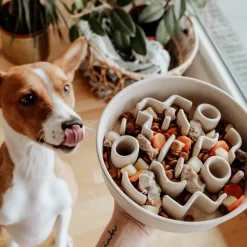 Discount District 70 Hundenapf Bamboo Anti-Schling M beige D 21 H 5,3 cm Futternäpfe & Trinknäpfe|Futternäpfe & Trinknäpfe