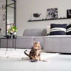 Hot District 70 Katzennapf Bamboo XS beige D 12 H 2,8 cm Futternäpfe & Trinknäpfe|Futternäpfe & Trinknäpfe