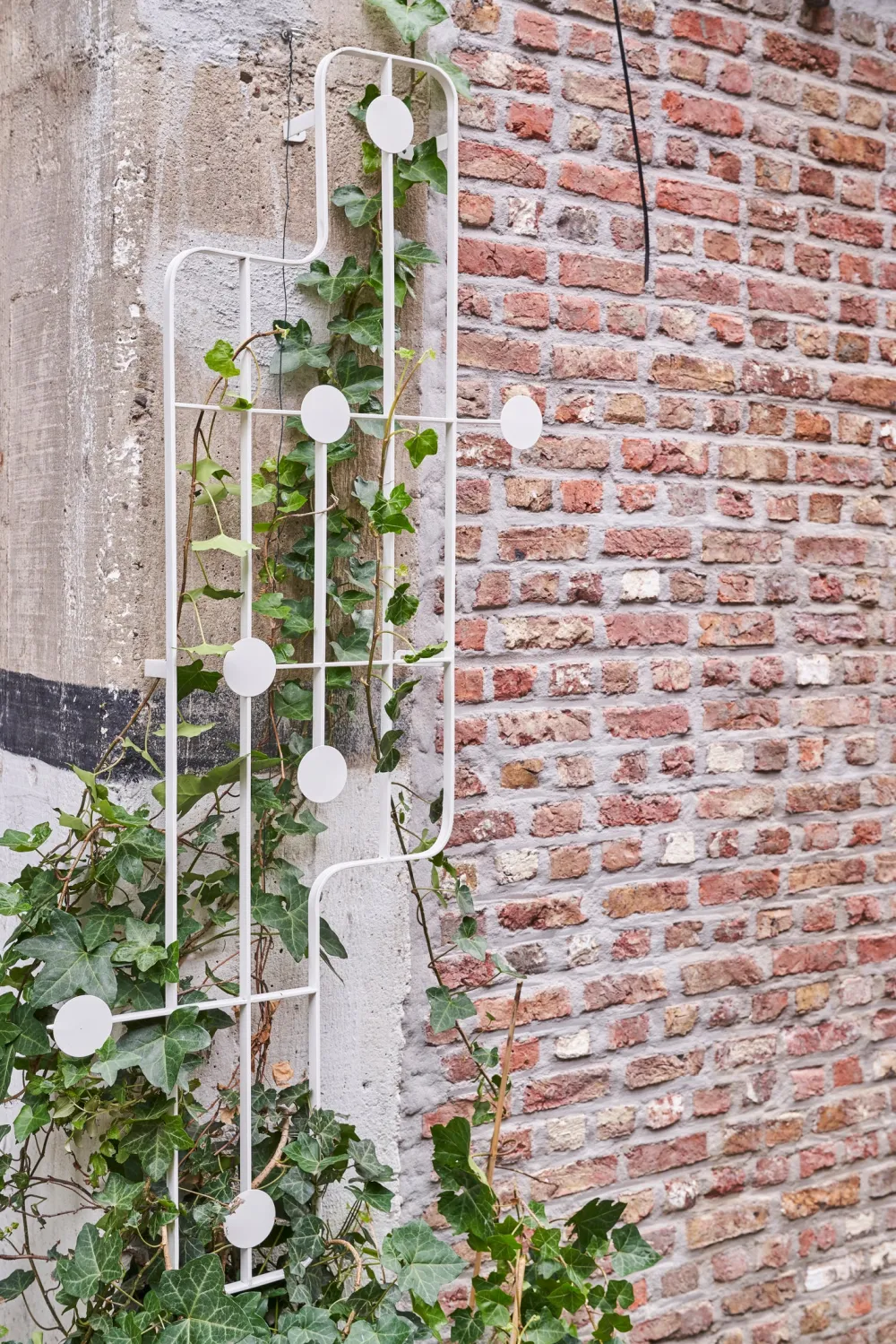 New D&M Deco Rankgitter Patio weiß 68 x 10 x 150 cm Blumenständer