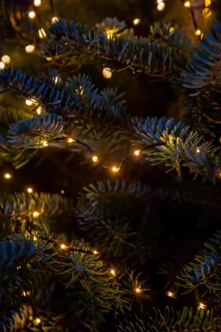 Online Drahtlichterkette gold 6 m mit 200 LEDs Mini- & Drahtlichterketten