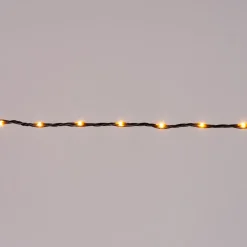 Drahtlichterkette gold 3 m mit 100 LEDs Mini- & Drahtlichterketten