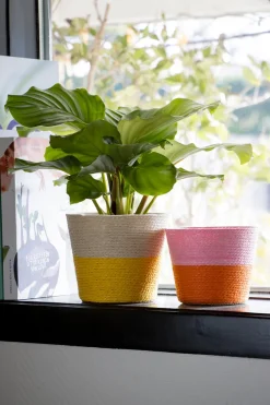 New Duif Pflanzkorb Riley naturell / gelb D 14 H 11 cm Pflanzkörbe|Pflanzkörbe