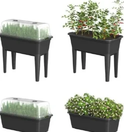 New Easyday Anzuchtkasten mit Deckel 78 x 76 x 37 cm Anzuchtkästen & Mini-Gewächshäuser