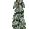 Sale Efeutute mit Moosstab (Epipremnum pictus 'Trebie') D 27 H 150 cm Große Pflanzen|Grünpflanzen