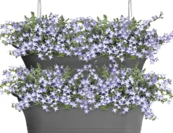 Hot Elho Balkonkasten Corsica anthrazit 51 x 17 x 23 cm Balkonkästen|Blumentöpfe & Pflanzgefäße