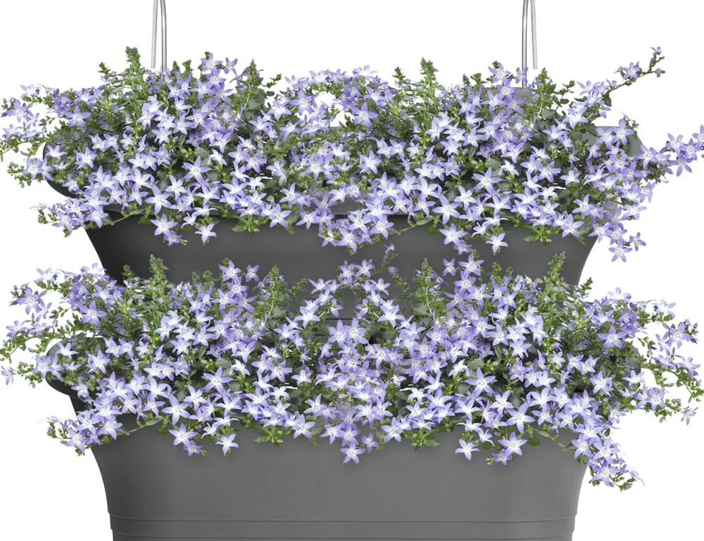 Hot Elho Balkonkasten Corsica anthrazit 51 x 17 x 23 cm Balkonkästen|Blumentöpfe & Pflanzgefäße