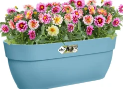 Online Elho Balkonkasten Vibia Easyhanger blau 46 x 24,1 x 26,5 cm Balkonkästen|Blumentöpfe & Pflanzgefäße