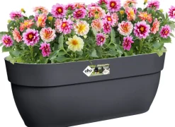 Discount Elho Balkonkasten Vibia Easyhanger anthrazit 46 x 24,1 x 26,5 cm Balkonkästen|Blumentöpfe & Pflanzgefäße