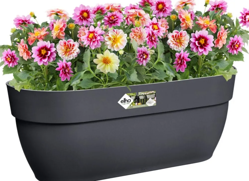 Discount Elho Balkonkasten Vibia Easyhanger anthrazit 46 x 24,1 x 26,5 cm Balkonkästen|Blumentöpfe & Pflanzgefäße