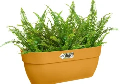 Elho Balkonkasten Vibia Easyhanger gelb 46 x 24,1 x 26,5 cm Balkonkästen|Blumentöpfe & Pflanzgefäße