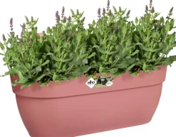 Clearance Elho Balkonkasten Vibia Easyhanger rosa 46 x 24,1 x 26,5 cm Balkonkästen|Blumentöpfe & Pflanzgefäße