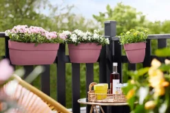 Clearance Elho Balkonkasten Vibia Easyhanger rosa 46 x 24,1 x 26,5 cm Balkonkästen|Blumentöpfe & Pflanzgefäße