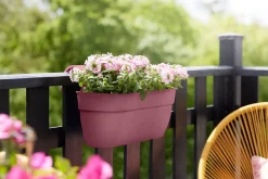 Clearance Elho Balkonkasten Vibia Easyhanger rosa 46 x 24,1 x 26,5 cm Balkonkästen|Blumentöpfe & Pflanzgefäße